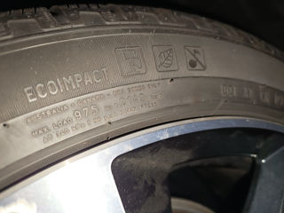 Pirelli r21 foto 3