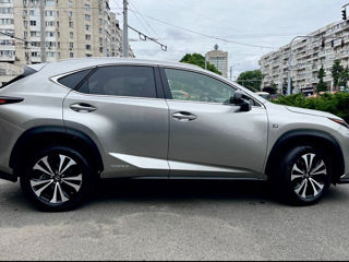 Lexus NX Series foto 6