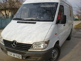 Sprinter foto 1