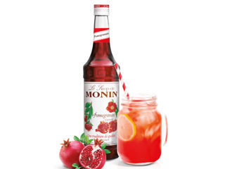 Sirop Granată Rodie Pomegranate Monin 700 Ml Livrare Moldova foto 1