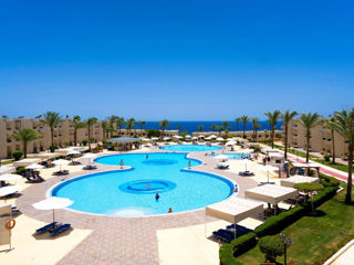 Egypt! "Grand Oasis Resort" 4*+ - райский уголок в сердце Шарма!