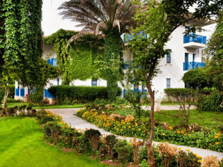 Турция - Белек,01-го сентября Отель - "Belconti Resort Hotel  5* " от "Emirat travel" foto 9