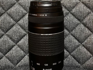 Canon EF 75-300mm (zoom lens)