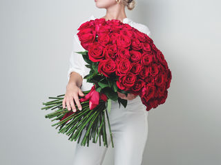Super ofertă! Trandafiri rosii 60 cm la super pret, de la 20 lei foto 3