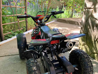 Boss ATV ATV foto 4