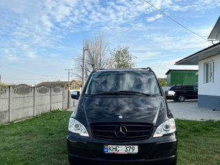 Mercedes Viano