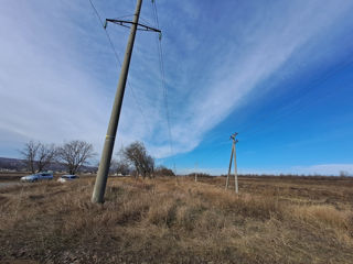 Vindem 42 de ari de pământ agricol în orașul Ialoveni. 32 000 de euro. foto 6