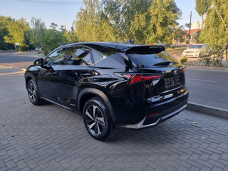 Lexus NX Series foto 8