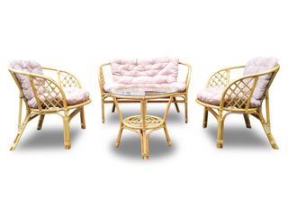 Set 4 locuri ,3 culori ,gri, honey, brown , includ  perne in seturi , rattan natural,noi sigilate