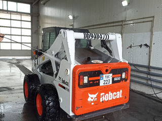 Bobcat foto 4