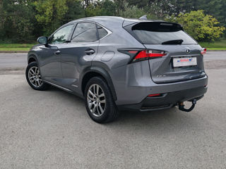 Lexus NX Series foto 5