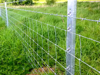 Gard din plasă innodată zincată.сетка шарнирная foto 2