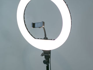Профессиональная модель напольной кольцевой переносной лампы. foto 1