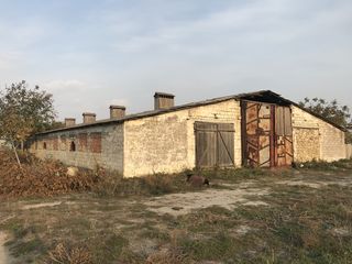 Se vinde construcție industrială, s. Brăviceni, r-nul Orhei foto 1