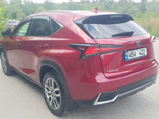 Lexus NX Series foto 4