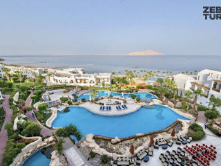 Egipt, Sharm El Sheikh - Albatros Palace Resort Sharm El Sheikh 5*