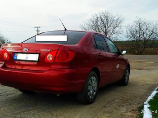 Toyota Corolla foto 6