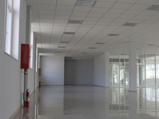 Arenda ! magazin -salon 360m2 et 2. depozit - producere 360m2  .depozit 115m2 subsol .prima linie .