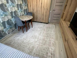 Ap. 1 cam., 20 м², 5/6 et.