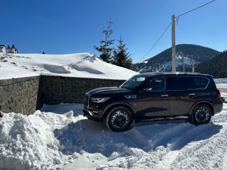 Infiniti QX80 foto 9