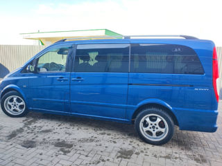 Mercedes Viano foto 7