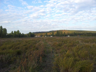 6.4 hectare aproape de Chisinau,intre satul Gornoe si Ratus foto 2