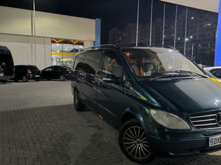 Mercedes Viano foto 4