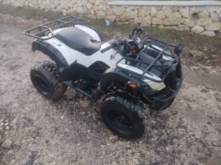 Boss ATV ATV foto 5