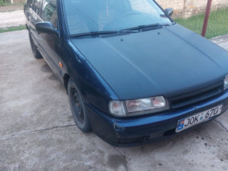 Nissan Primera foto 1