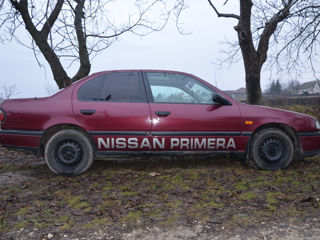 Nissan Primera