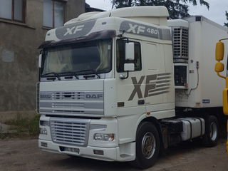 Daf XF foto 2