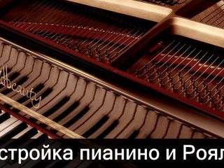 Acordarea pianelor! Настройка пианино! foto 9