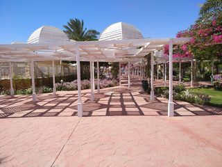 Desert rose resort 5* Хургада. Египет! Своя бухта, песчаный вход, аквапарк! foto 8