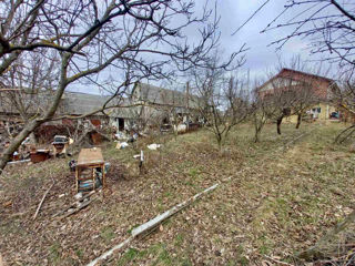 Spre vinzare ! Casa cu teren de 35 arii ! foto 6