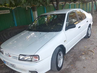 Nissan Primera foto 3