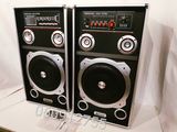 Sistem acustic karaoke Ailiang USBFM 1100DT cu garantie 1 an si cu livrare gratuita foto 1