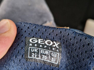 Geox foto 7