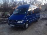 Mercedes Sprinter 313 CDI foto 1