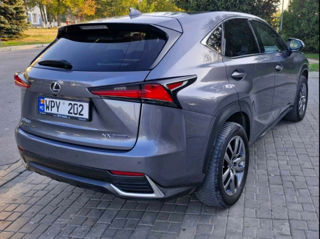 Lexus NX Series foto 3