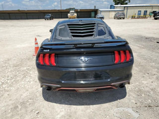 Ford Mustang foto 5