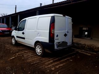 Fiat Doblo Cargo foto 3