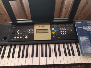 Yamaha Psr E 223 foto 2