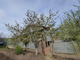 Casa Cimislia Gura Galbenă foto 2