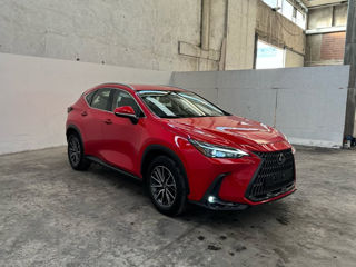 Lexus NX Series