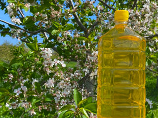 Vindem ulei de floarea soarelui presat la rece, rafinat, filtrat, 100% natural. foto 3