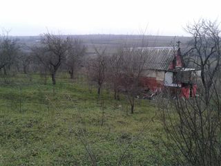 Imobil in vinzare 25 km de Chisinau foto 3