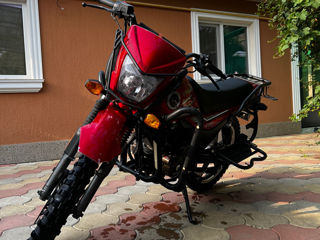 Viper 250 foto 2