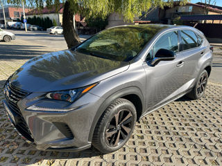 Lexus NX Series foto 10