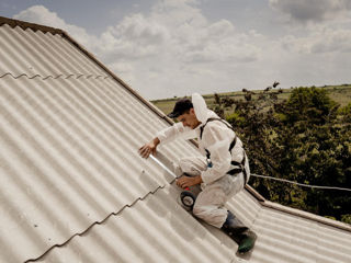 Покраска крыши / vopsirea acoperisului foto 5