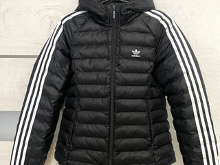 Scurta de toamnă adidas